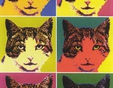 kb Warhol Andy-COM. , 