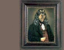 dog portraits csg018 rube gordon. �������, ������