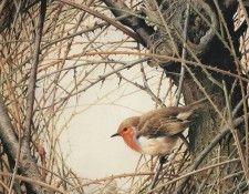 dbs 263 Terance James Bond 04. ������, Terance