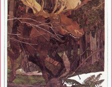 vanKampenVlasta Fire!-We. ������, ������ ���