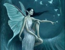 luna moth. , 