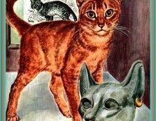 Ds-Cats Art 10 Marge Opitz Buridge. Buridge, ����� Opitz