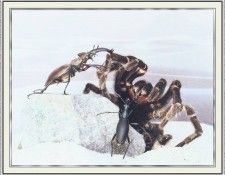 NorfleetB 07 IWontDenyMyNature-WeaSDC. Norfleet, �������