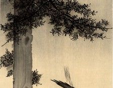 pic02240. �����