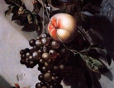 Grasdorp Willem Still life Sun . Grasdorp, ������