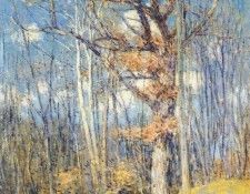 weir white oaks 1913. 