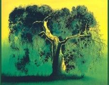 lrsEG132EarleEyvind Sycamore. , 