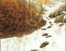 lrsDoolittleBev DoubledBack. �������, ���