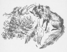 am chapter05. , 