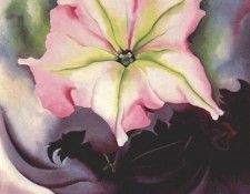 okeeffe petunia and coleus 1924. OKeeeffe, 