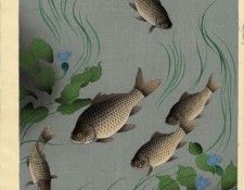 pic03463. ���, ������