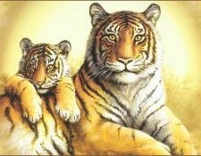 lrsHautmanJoseph-Tigers. Hautman, 