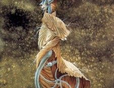 11538. Varo, ��������