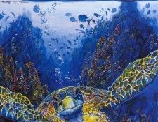 kb RLN Turtle Searching. �������, ������ ���