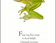 pa TonyOliver FrogsSingSongs 07a. , 
