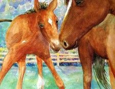 Time For Bed Tb 0006 Little Foal JaneDyer sqs. , 