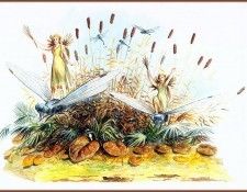 lrsMGT08BonnecazeCarlotta ElvesofMalaria. �������, ����