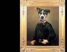 dog portraits csg056 jacques russell. , 