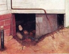 art 119. ��������, ��������