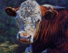 Sara Sharp - Sunny the Bull, De. Sharp, ����