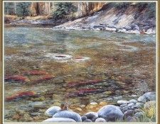 KissAndrew-A Mountain Alphabet-Salmon-WeaISC. �������, ������