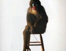 art 264. ������, ������