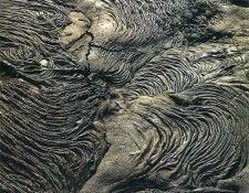 art 675. ������, �����