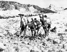 Fr 001 The Gold Bug FredericRemington sqs. Remington, ��������