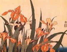 pic09600. �������