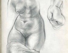 art 336. , 