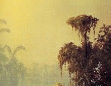 Norton Bush - Brume tropicale (R), De. , 