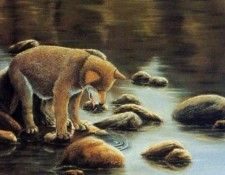 Johanne Pouliot - Pourquoi, De. Pouliot, �����