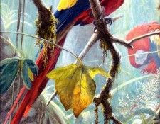 Birds 54A Tropical Canopy--Scarlet Macaws, 2001 Robert Bateman sqs. Bateman, Роберт