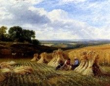 Cole George Harvest Field. ,  