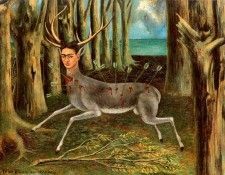 03597. ����, �����