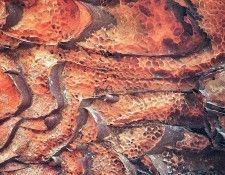 art 686. ������, �����