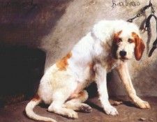 bonheur barbaro after the hunt. �����, ����-�����