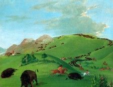 Gc 0011 Cammanches hunt Buffalo on fast horses sqs. , 