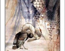 CSCU aping 2k3 wang ke yin 013. ��� ��� ��