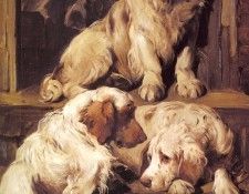 Emms John Clumber Spaniels. , 