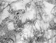 48584. �����, Adrienne