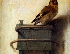 Fabritius Carel The goldfinch Sun. ���������, �����