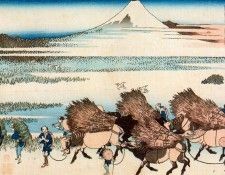 pic09549. �������