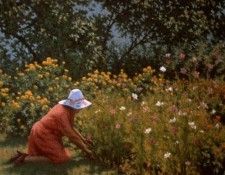 WHITNEY Richard Gathering Flowers 14x21 35mm slide. , 