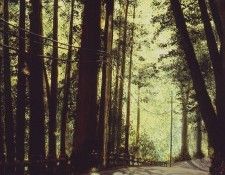 RS1. �������, ��������