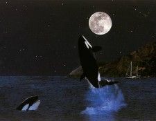 f BarryChall ASC02 CelebratingtheMoon. Chall, 