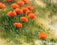 Aaw041 Joe Garcia California Color sqs. ������, ���