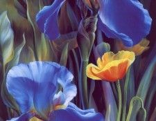 lrsDunn-HarrVicBlueIrises. ����
