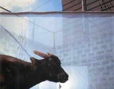 art 262. ������, ������