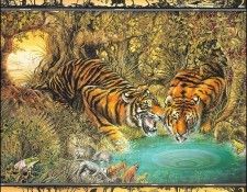 lrsBaseGraeme Waterhole02Tigers. ����, ����